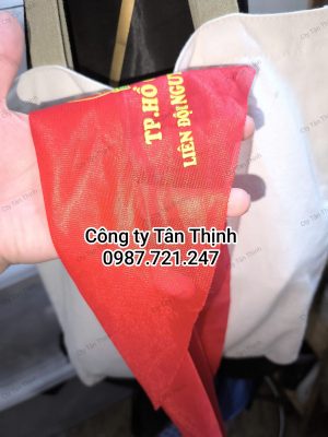 Vải palize màu khăn quàng đỏ (Mã màu 9) - Công ty Tân Thịnh (2)